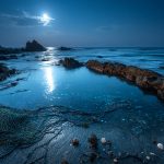 ¿Porqué sube y baja la marea?